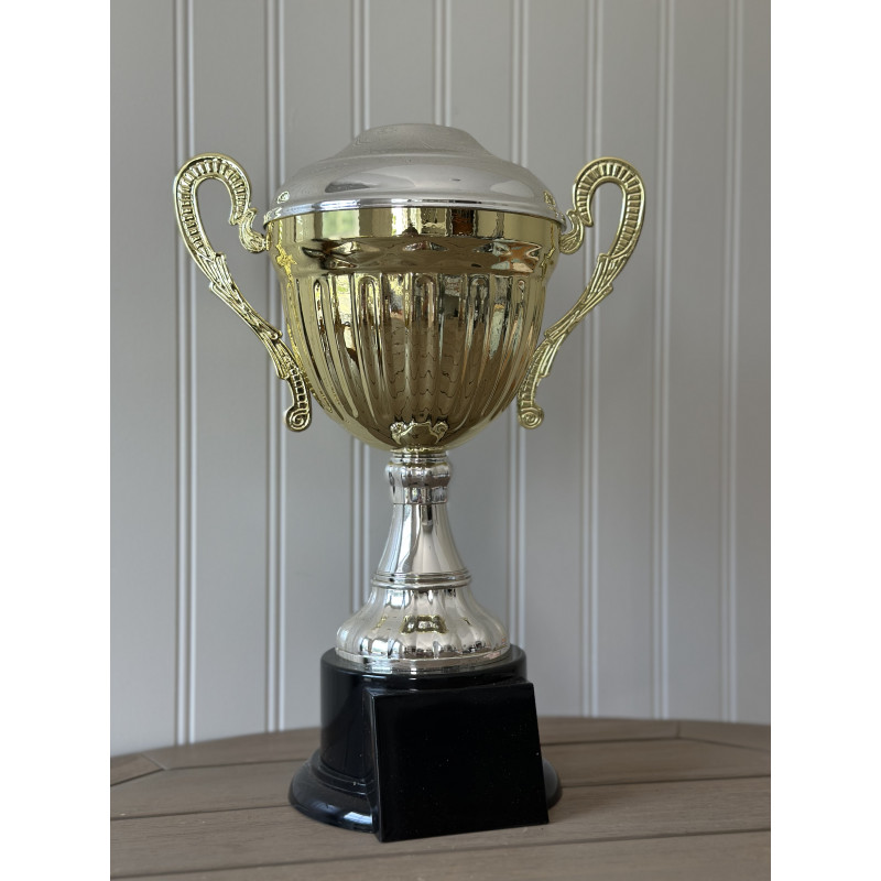 Silver Top Gold Cup Trophy