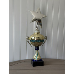 Gold & Aqua Cup with Star Topper