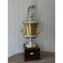 Gold Cup with Star Topper on Wood Base